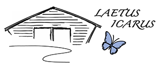 Laetus Icarus